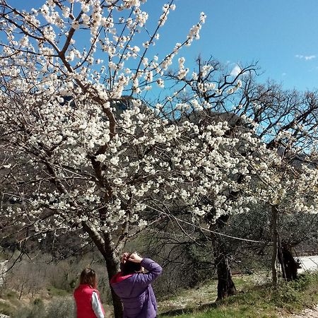 Valle Del Belvedere Spoleto Luaran gambar