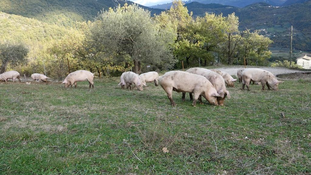 Valle Del Belvedere Spoleto Luaran gambar
