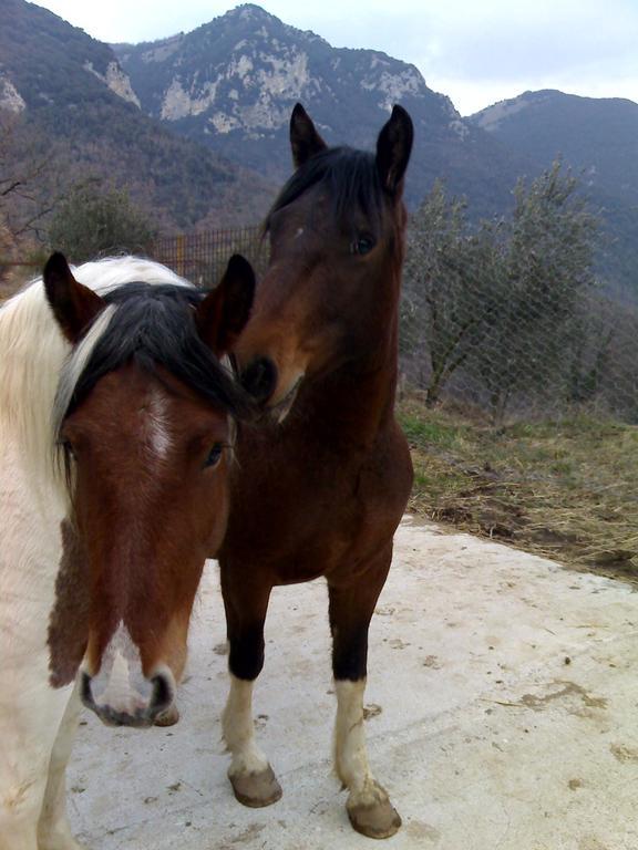 Valle Del Belvedere Spoleto Luaran gambar